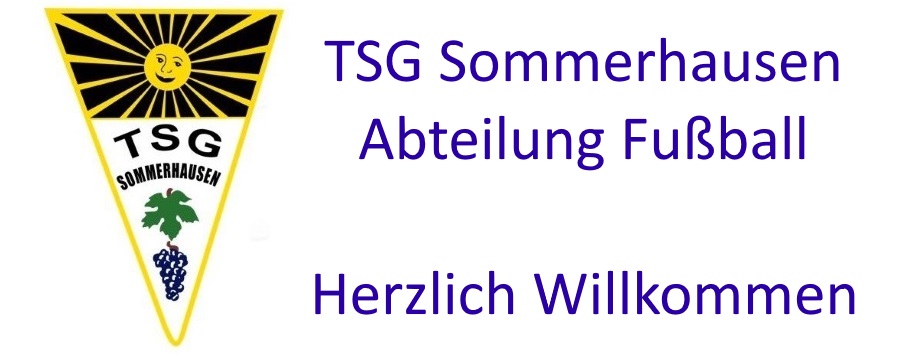 TSG Sommerhausen Headerbild Homepage